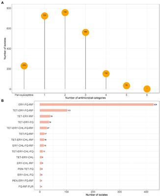 Antimicrobial resistance among canine enterococci in the northeastern United States, 2007–2020